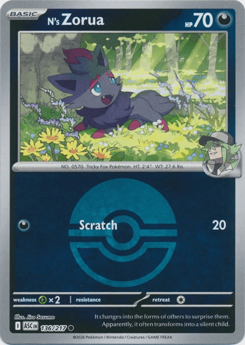 N's Zorua - 136/217 (Poke Ball) - ME: Ascended Heroes (ASC) by SAFAQATI on MYNTED