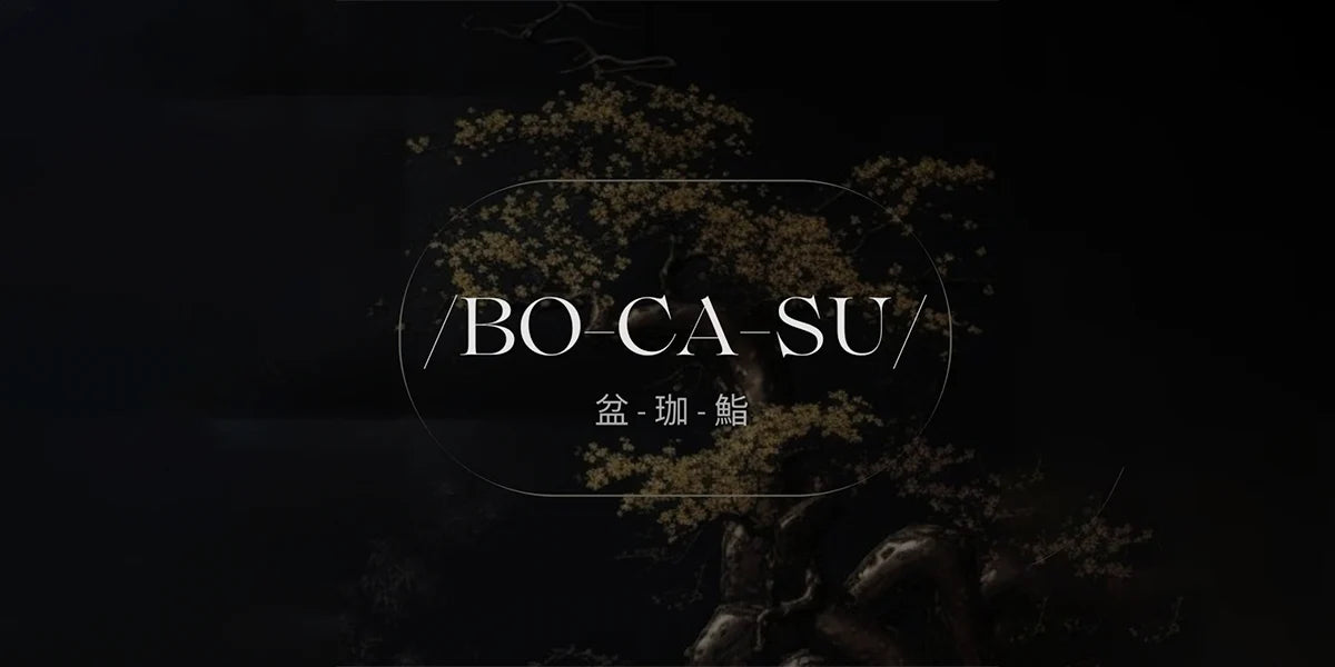 BOCASU logo – Pokémon Cards & One Piece Cards vendor on MYNTED (UAE & GCC)