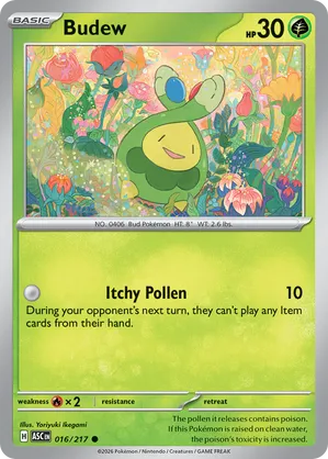 016/217 Budew - Ascended Heroes by Poké Zen DXB on MYNTED