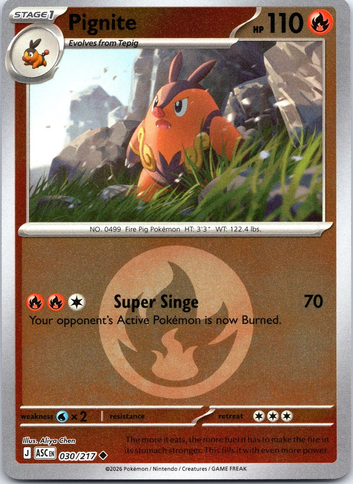 Pignite - 030/217 (Energy Symbol Pattern) - ME: Ascended Heroes (ASC)