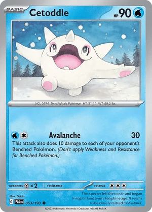 053/193 Cetoddle - Paldea Evolved by Poké Zen DXB on MYNTED
