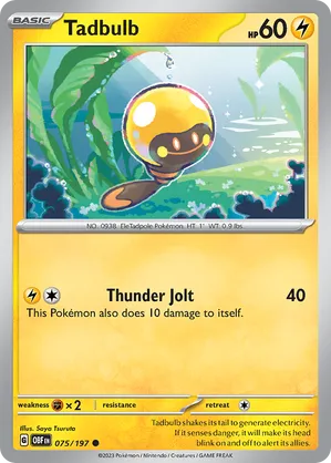 075/197 Tadbulb - Obsidian Flames by Poké Zen DXB on MYNTED