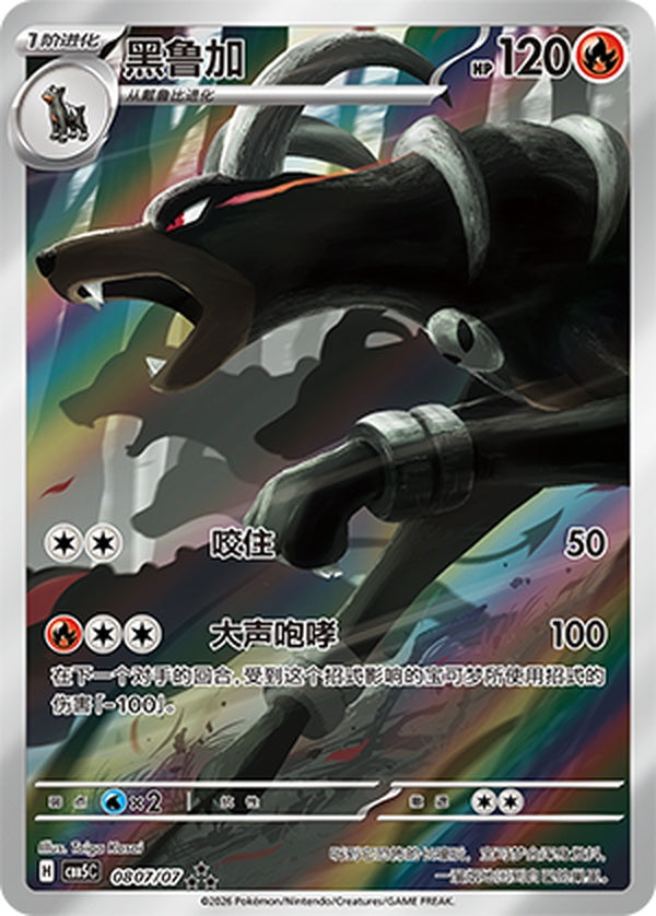 Houndoom Art Rare 0807/07