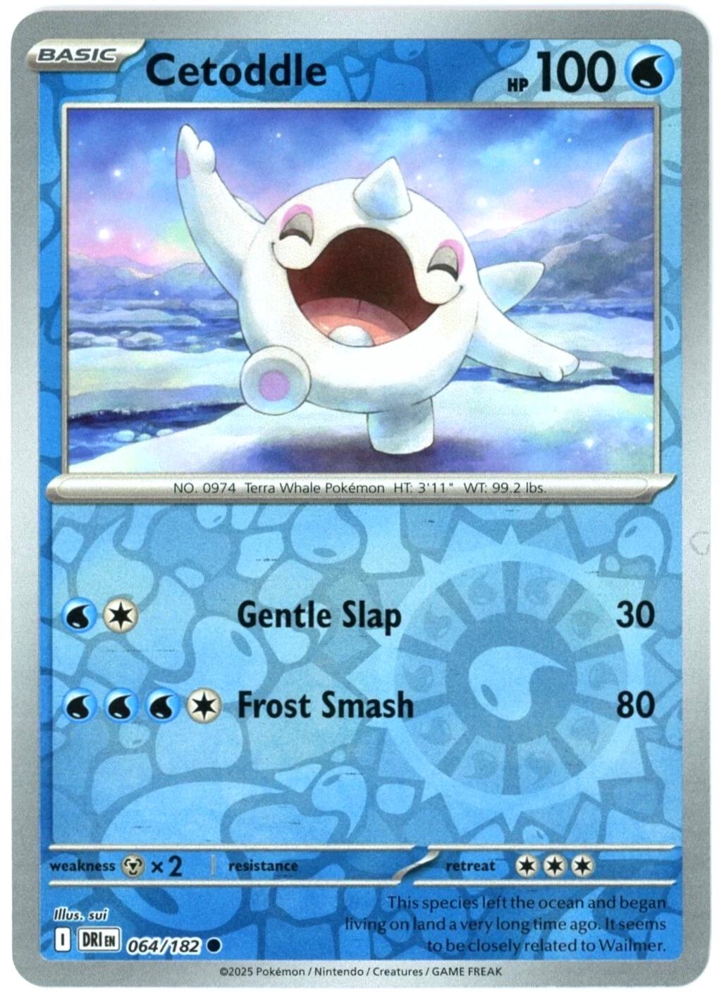 Cetoddle [Reverse Holo] #64 Pokemon Destined Rivals