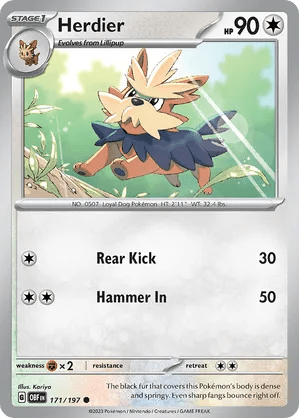 171/197 Herdier - Obsidian Flames by Poké Zen DXB on MYNTED