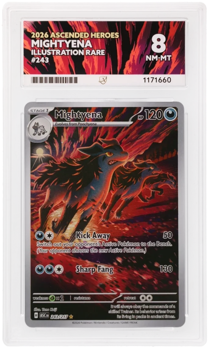 Mightyena 243/217 (Ascended Heroes) — ACE 8