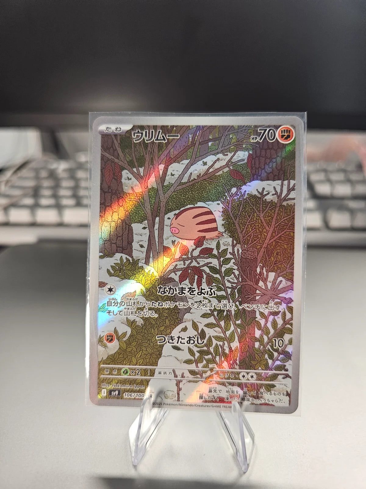 Swinub (JP) 106/100 (Battle Partners)