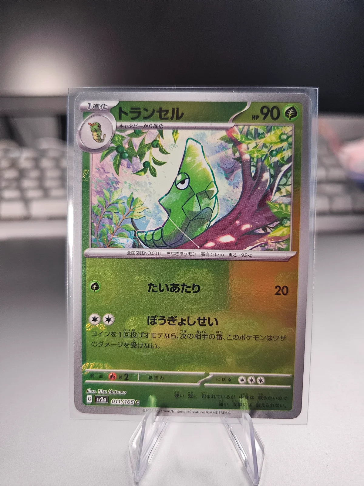 Metapod (JP) 011/165 (Pokemon 151)