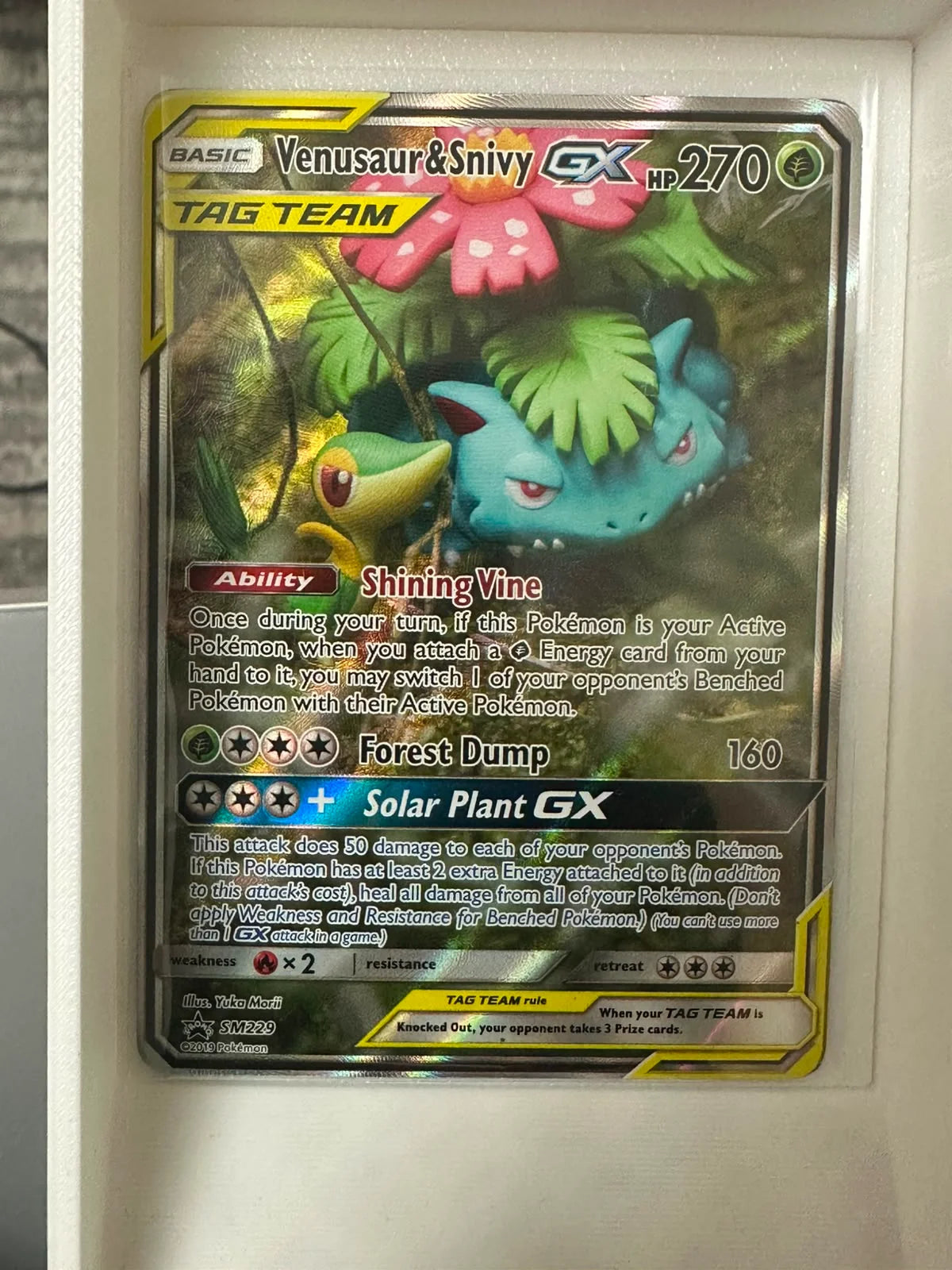 Venusaur & Snivy GX SM229 (Sun & Moon Promo)