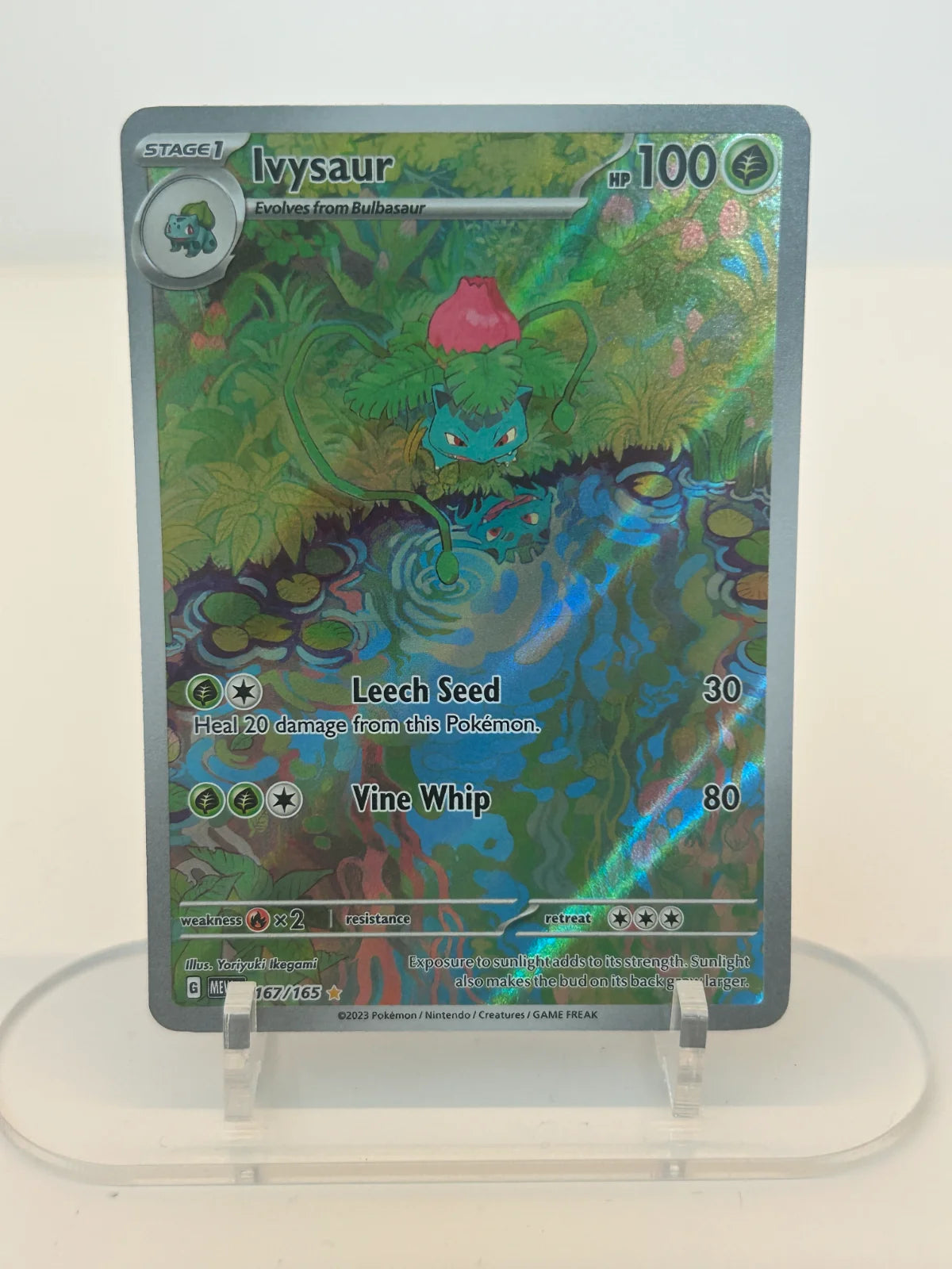 Ivysaur 167/165 (SV: 151)