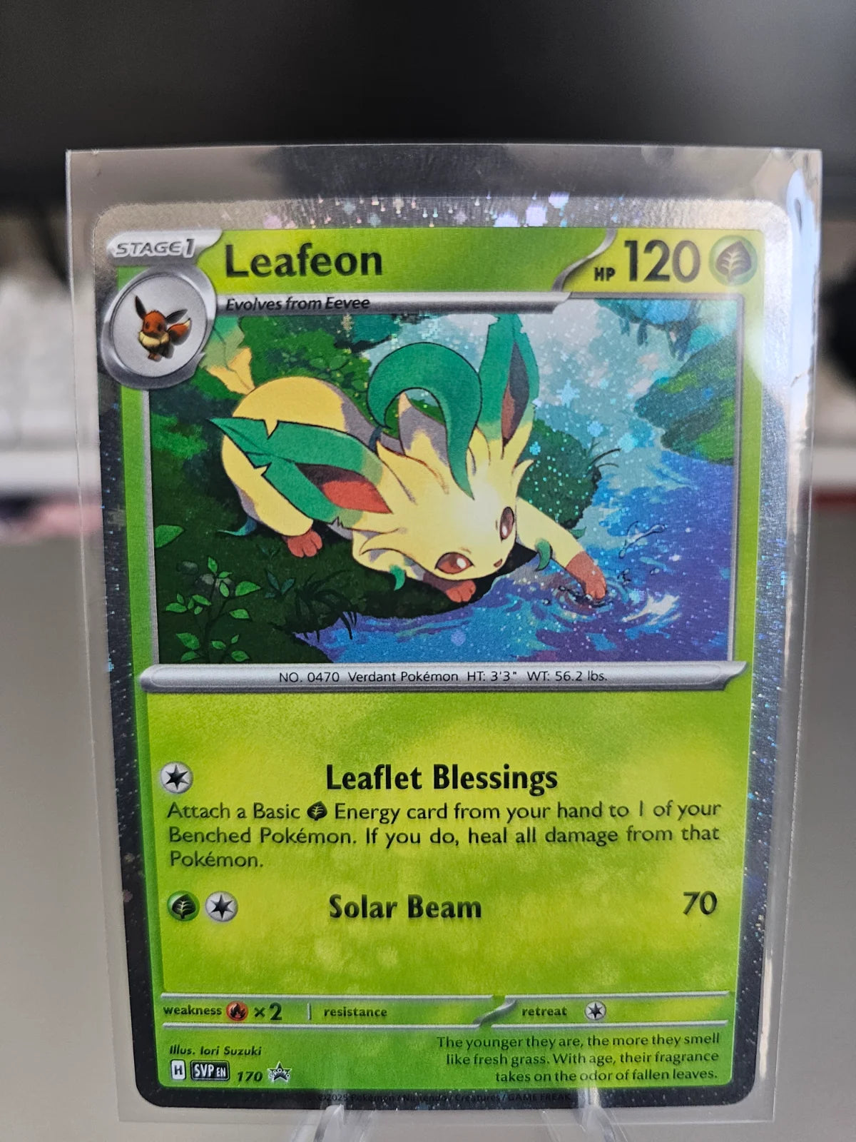 Leafeon (Cosmos) 170 (Scarlet & Violet Promo)