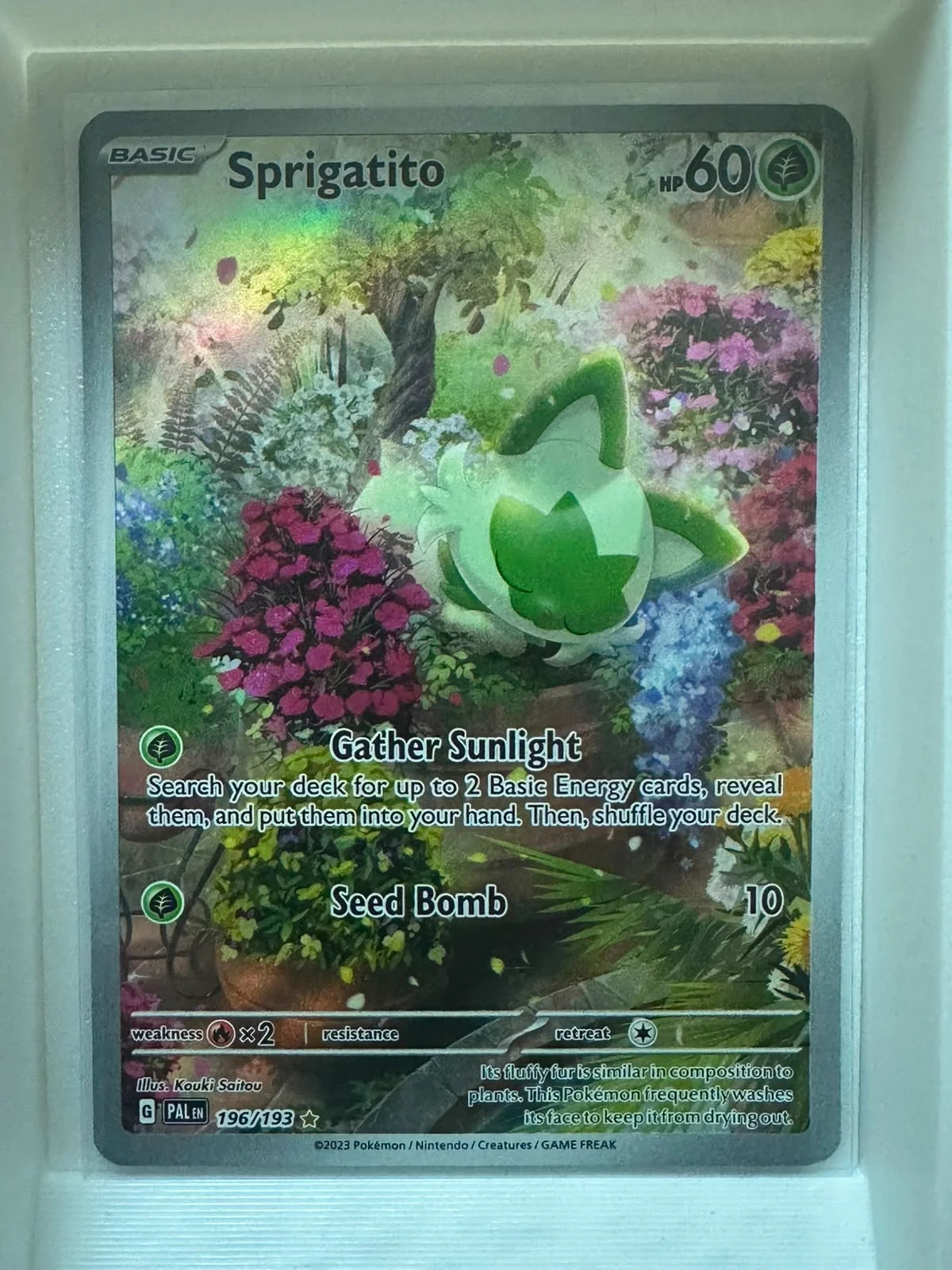 Sprigatito 196/193 · Holofoil (Paldea Evolved)