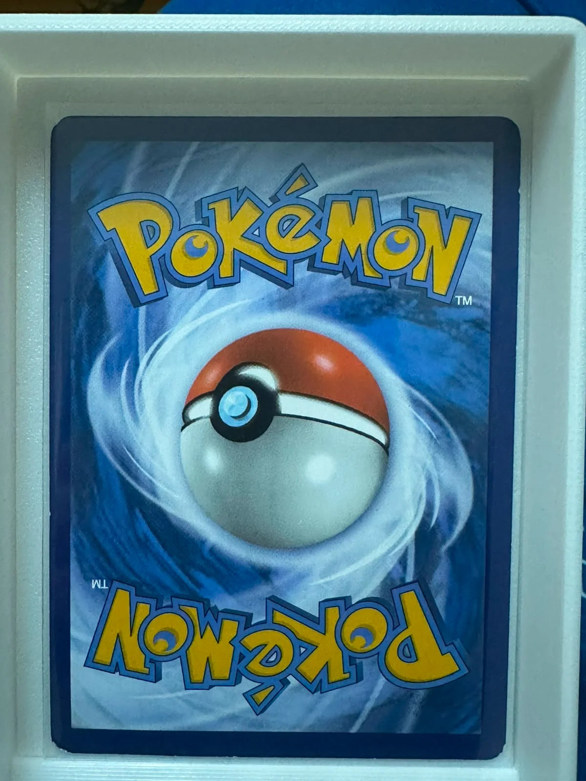 Sprigatito 196/193 · Holofoil (Paldea Evolved)