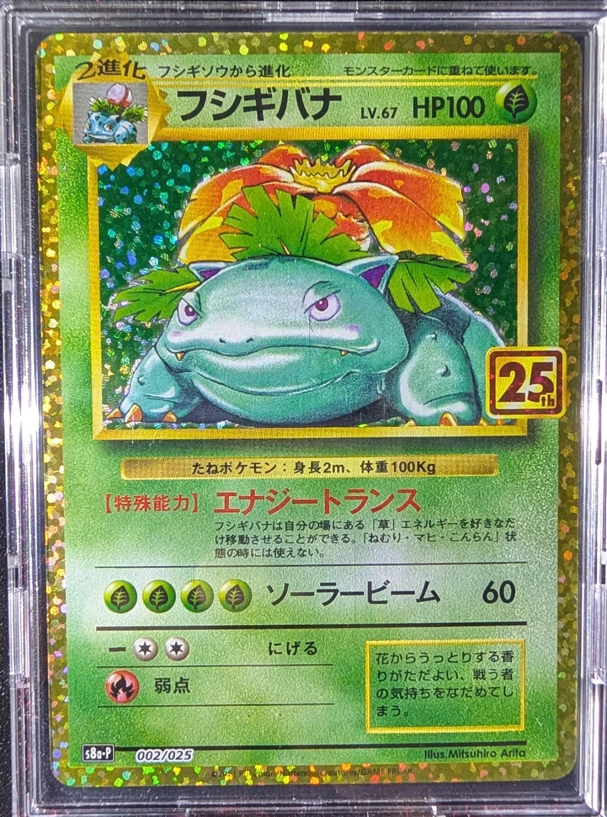Venusaur (JP) 002/025 · Holofoil (25th Anniversary Promo (JP))