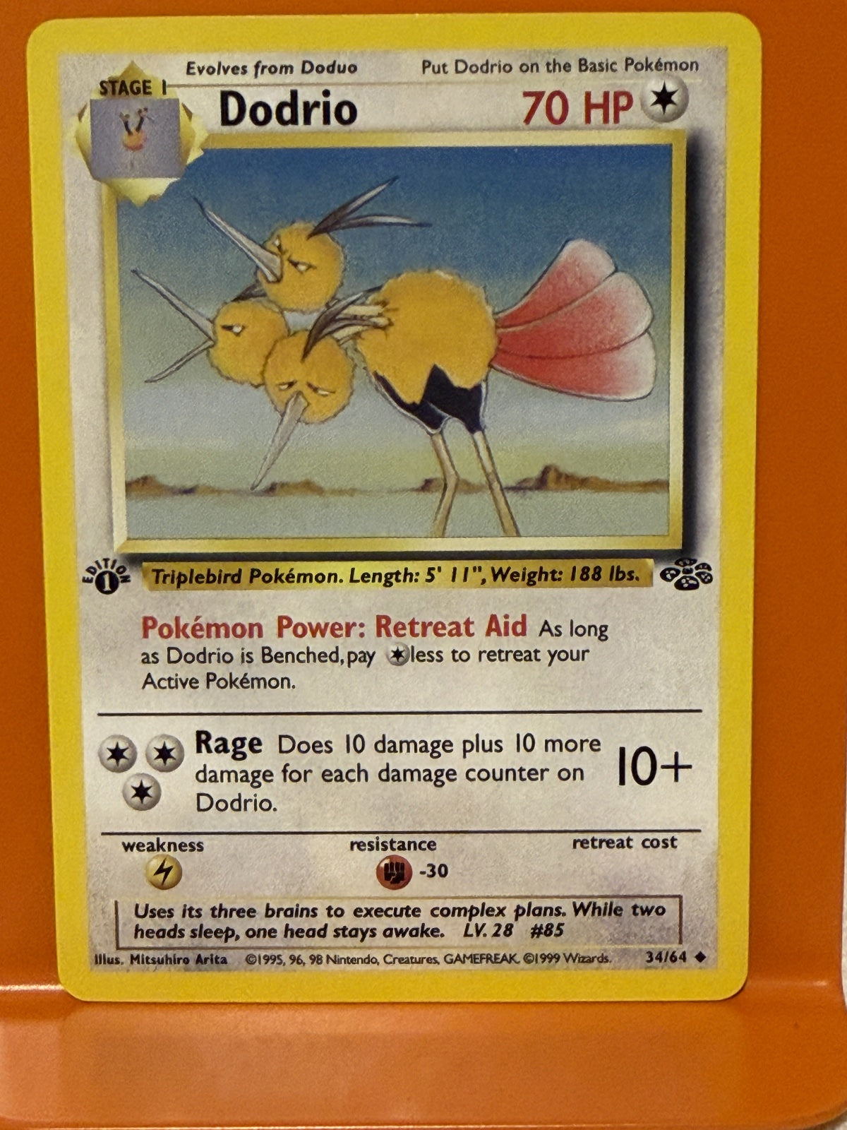 Dodrio 34 · 1st Edition (Jungle)