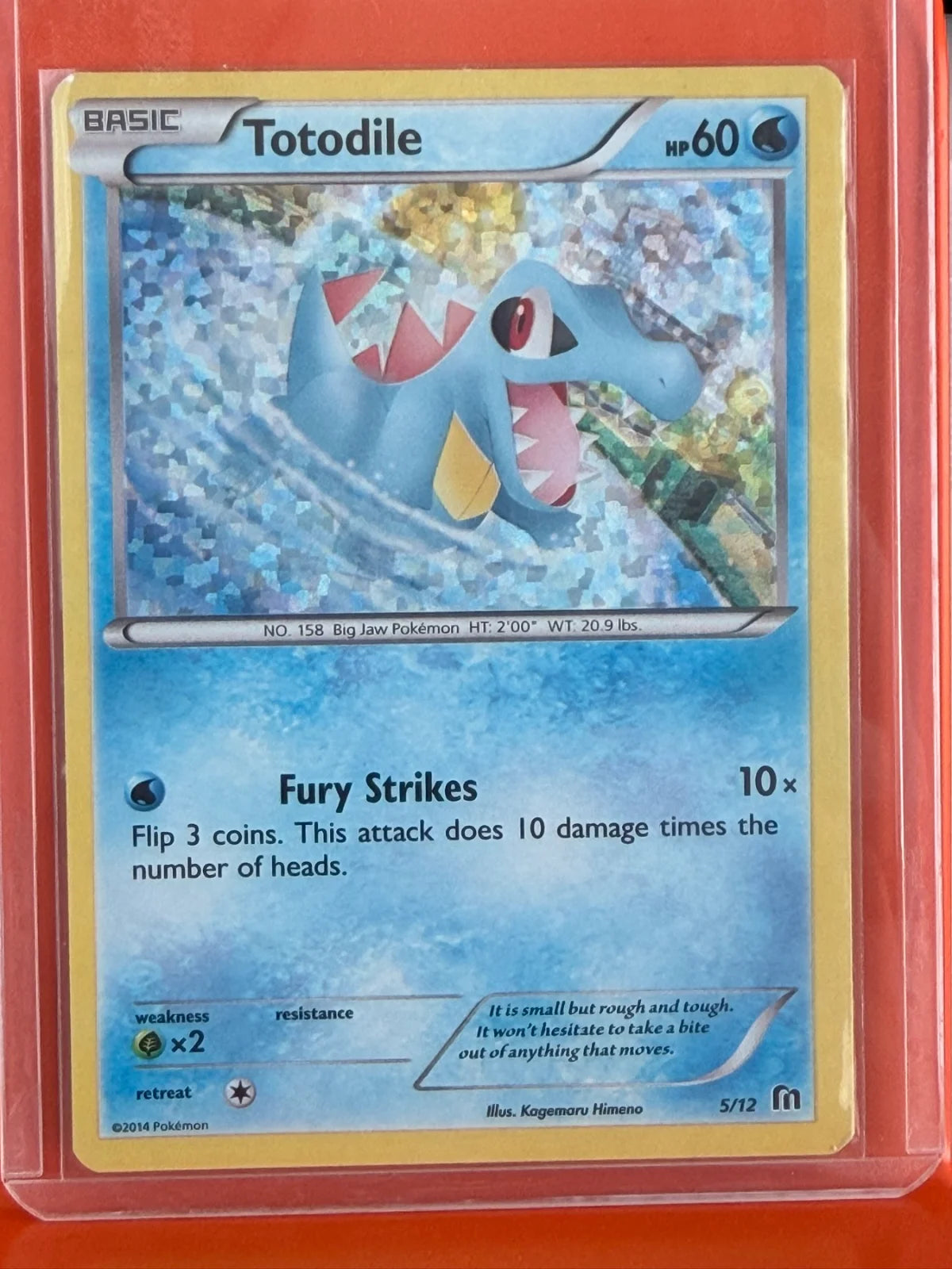 Totodile 5/12 · Holofoil (McDonald's Promos 2016)