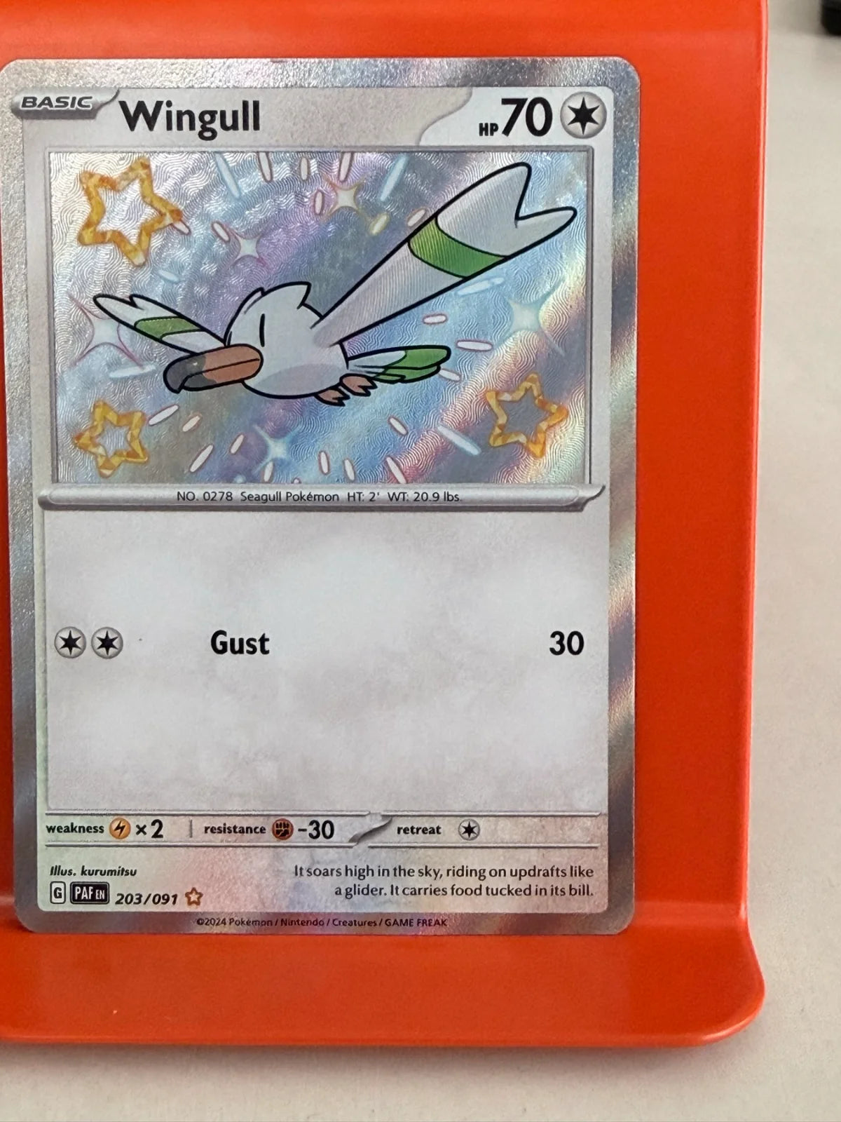 Wingull 203/091 · Holofoil (Paldean Fates)