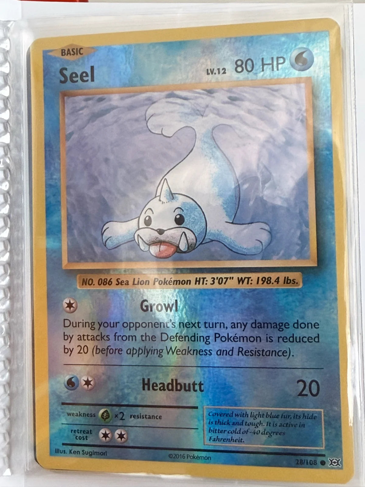 Seel 28/108 · Normal (Evolutions)