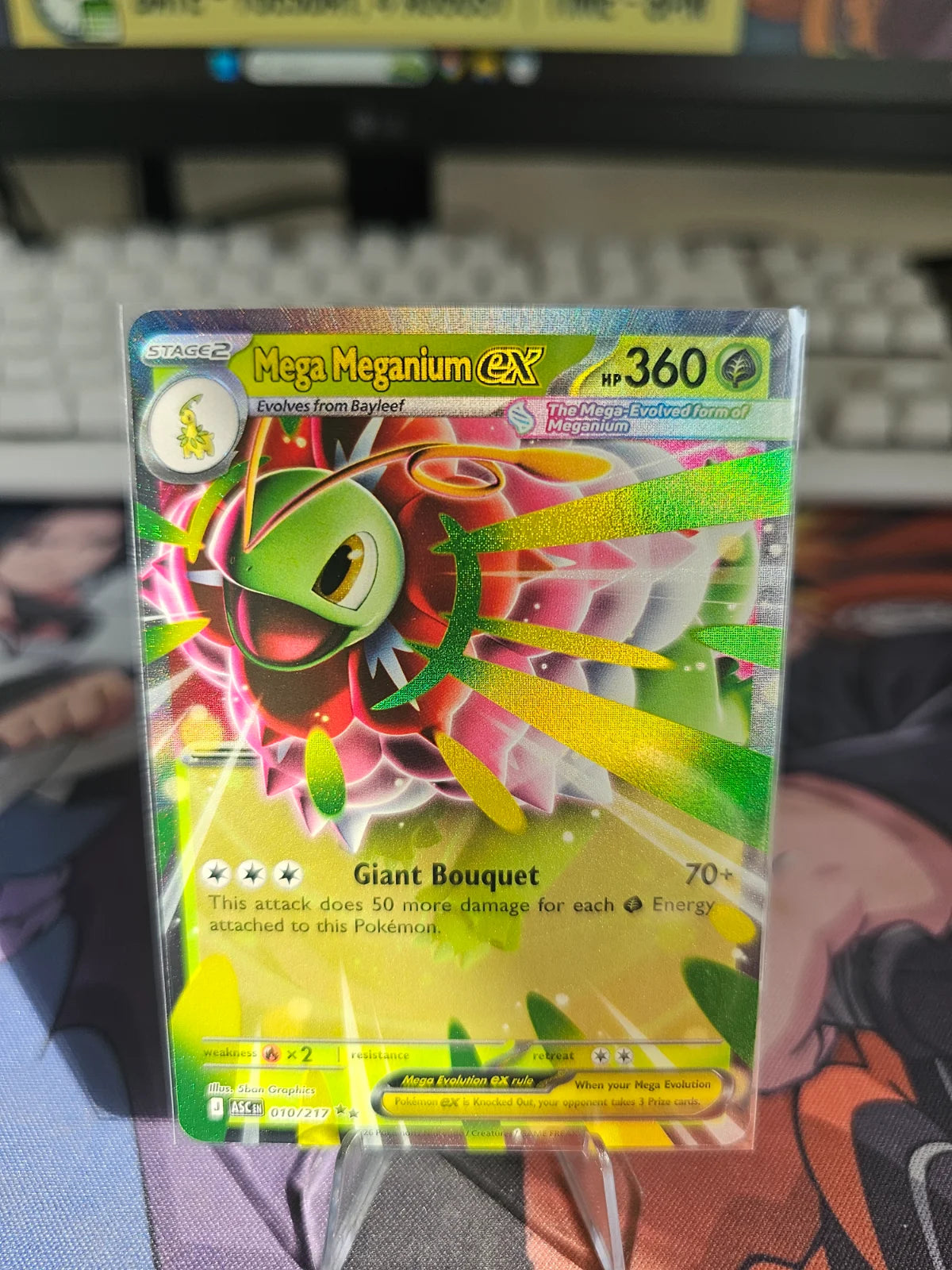 Mega Meganium ex 010/217 · Holofoil (Ascended Heroes)
