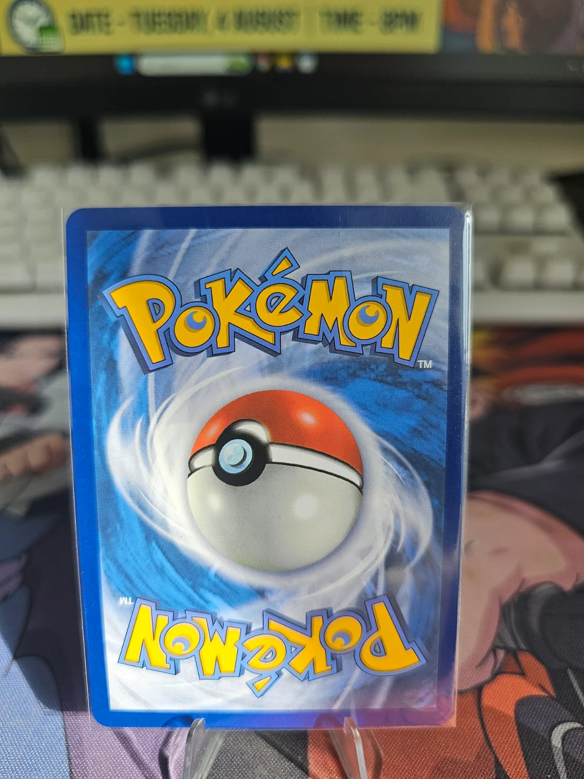 Mega Meganium ex 010/217 · Holofoil (Ascended Heroes)