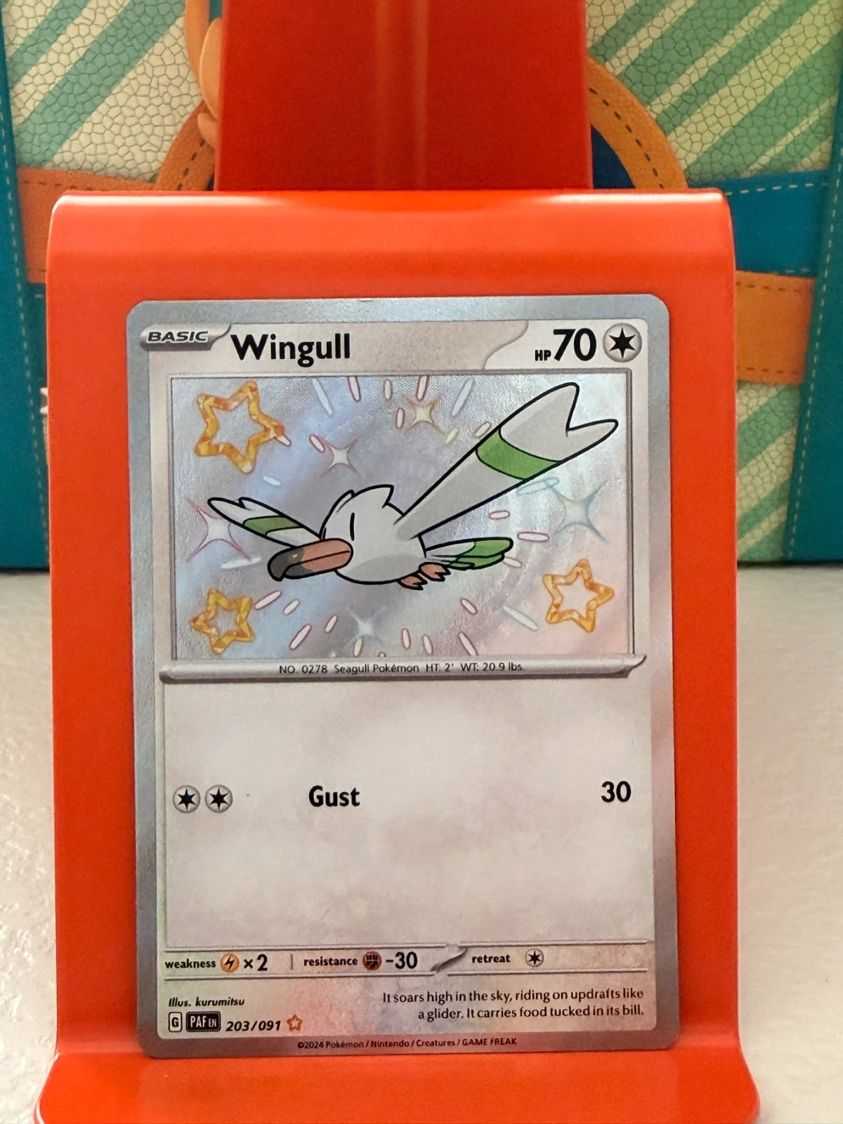 Wingull 203/091 · Holofoil (Paldean Fates)