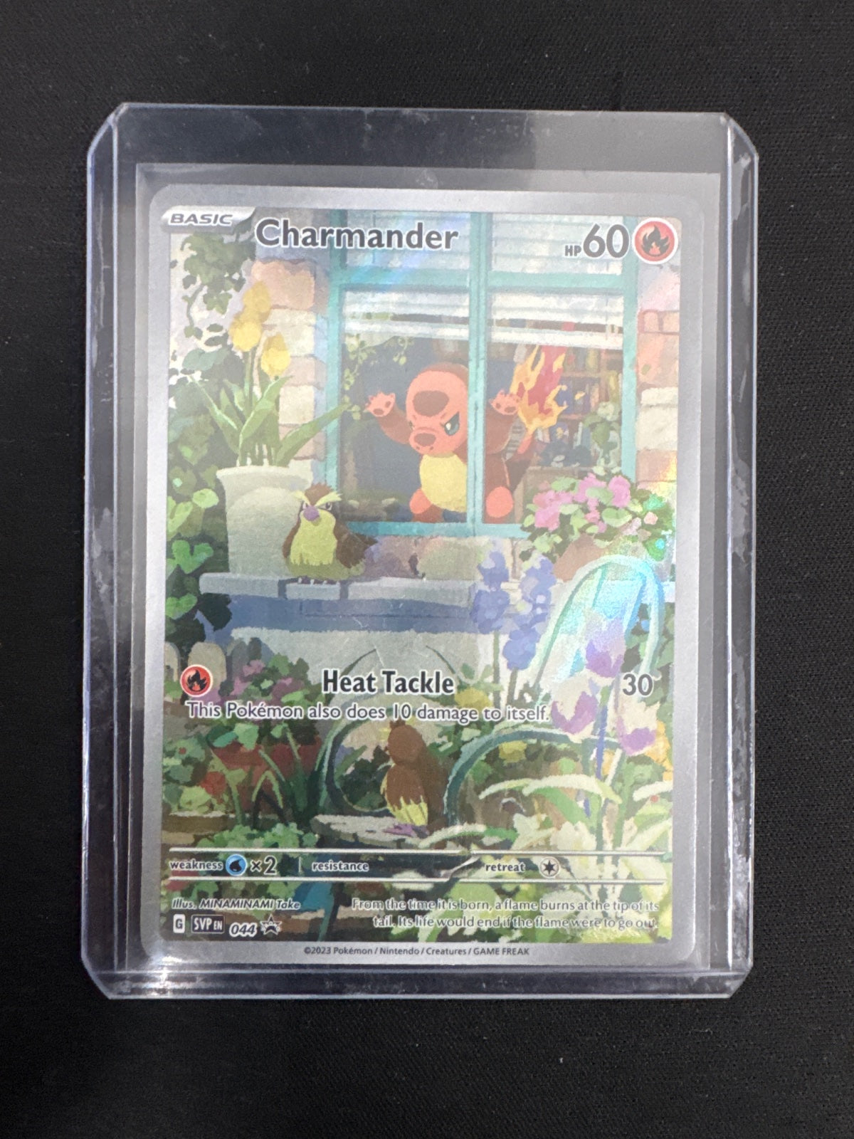Charmander 044 · Holofoil (Scarlet & Violet Promo)