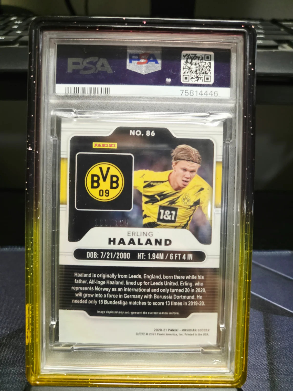 ERLING HAALAND