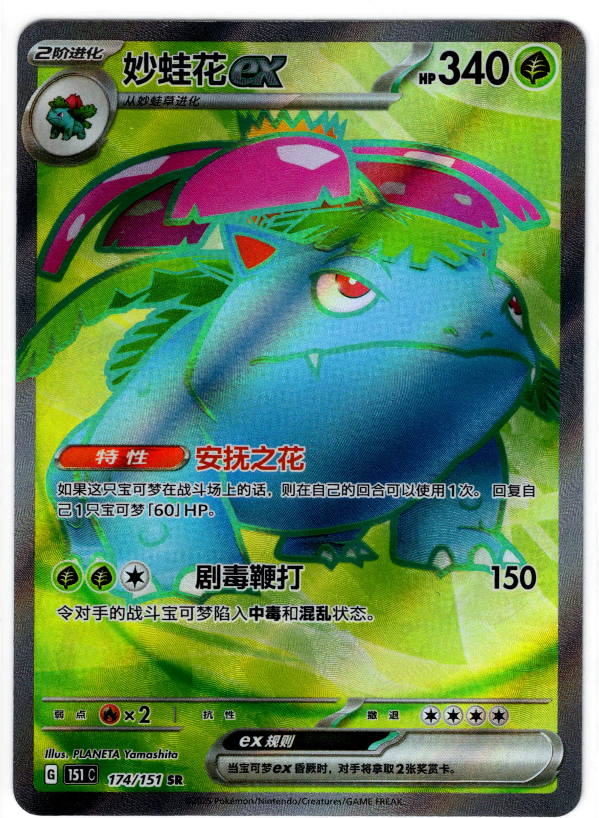 Venusaur ex (CN) 174/151 · Holofoil (Collect 151 Surprise)