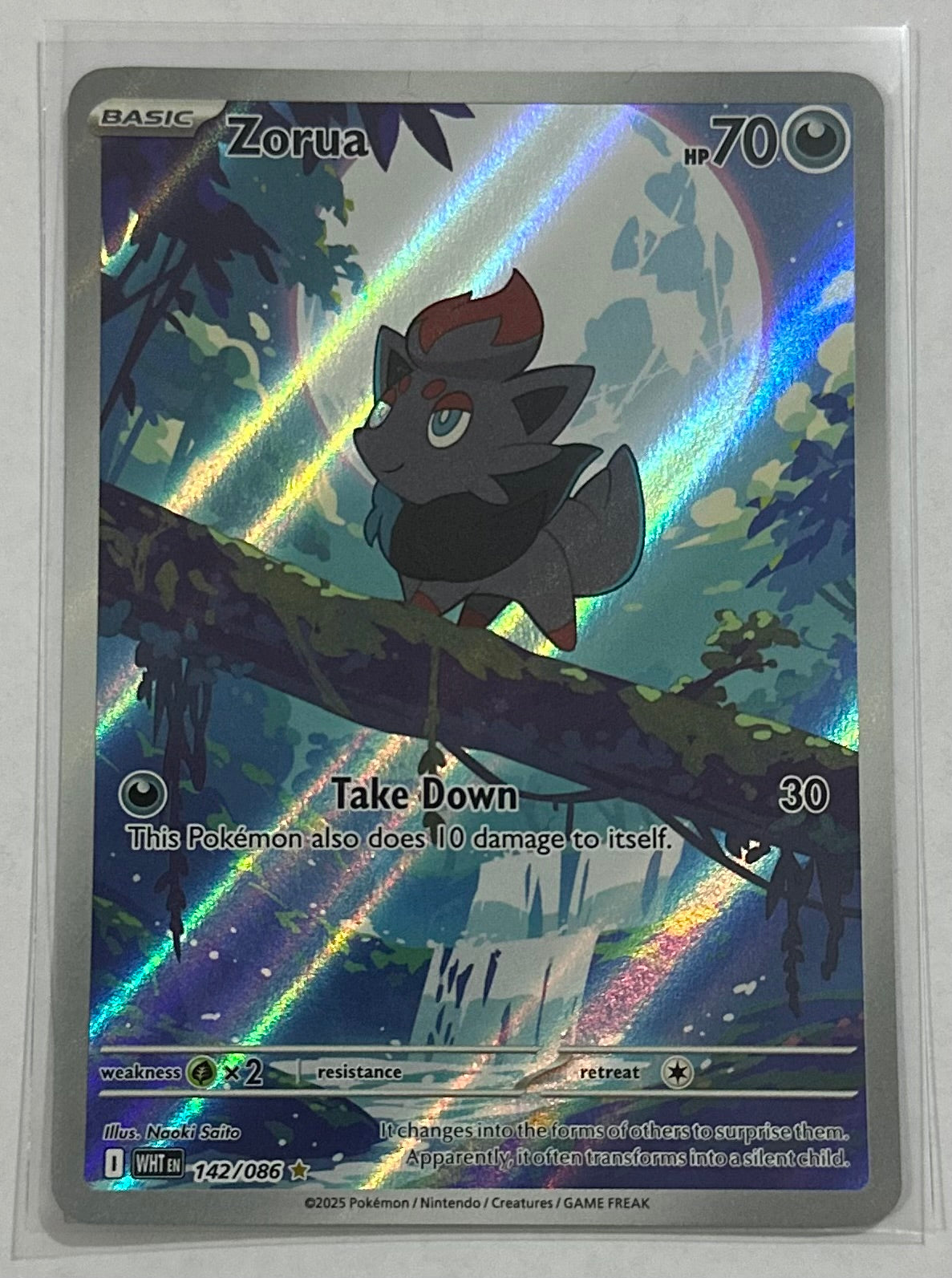 Zorua Illustration Rare
