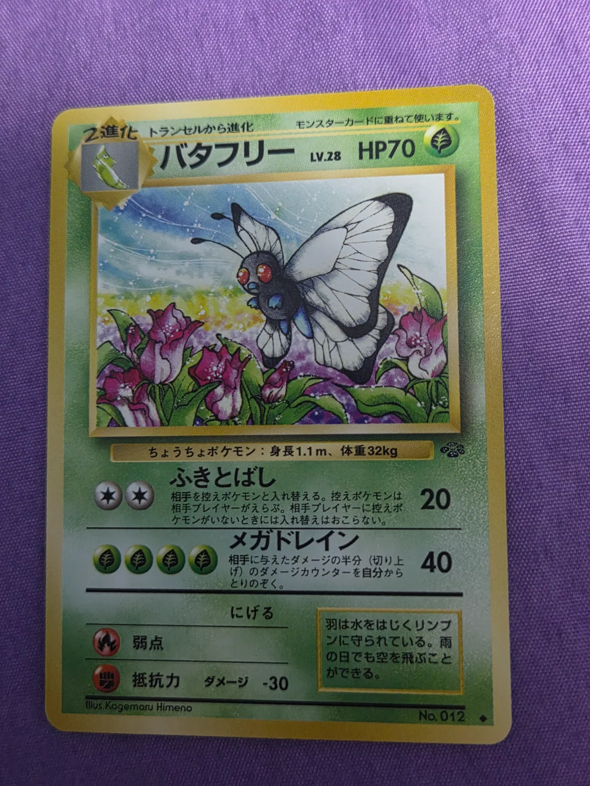 Butterfree (JP) 012 (Jungle (Japanese))