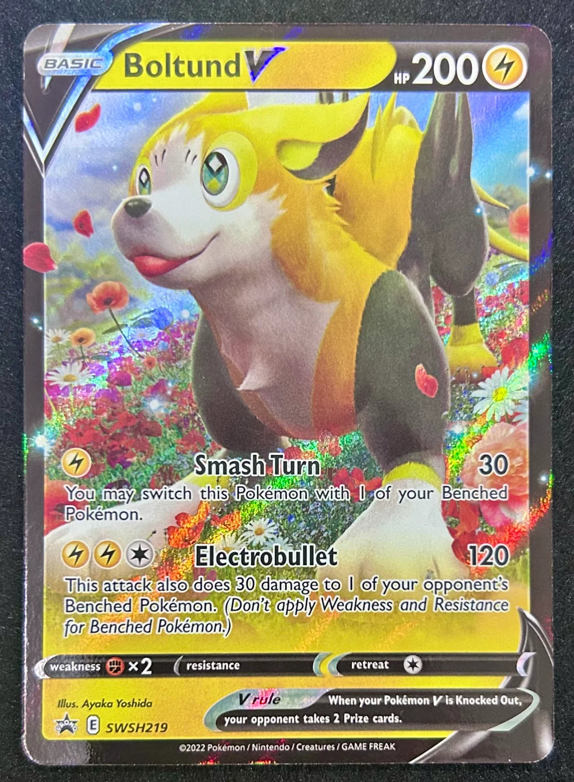 Boltund V Sword & Shield Promo SWSH219 Holofoil English