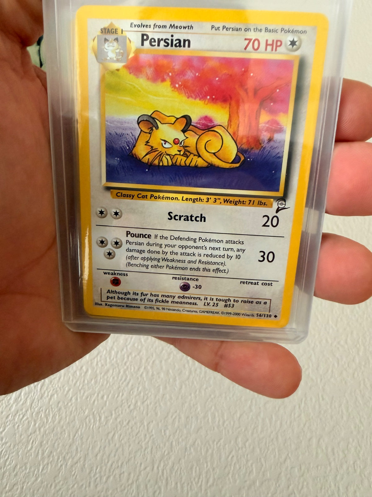 1 V/EX + 1 Vintage Card (1999-2007) + 1 Masterball Holo +  10 Holo