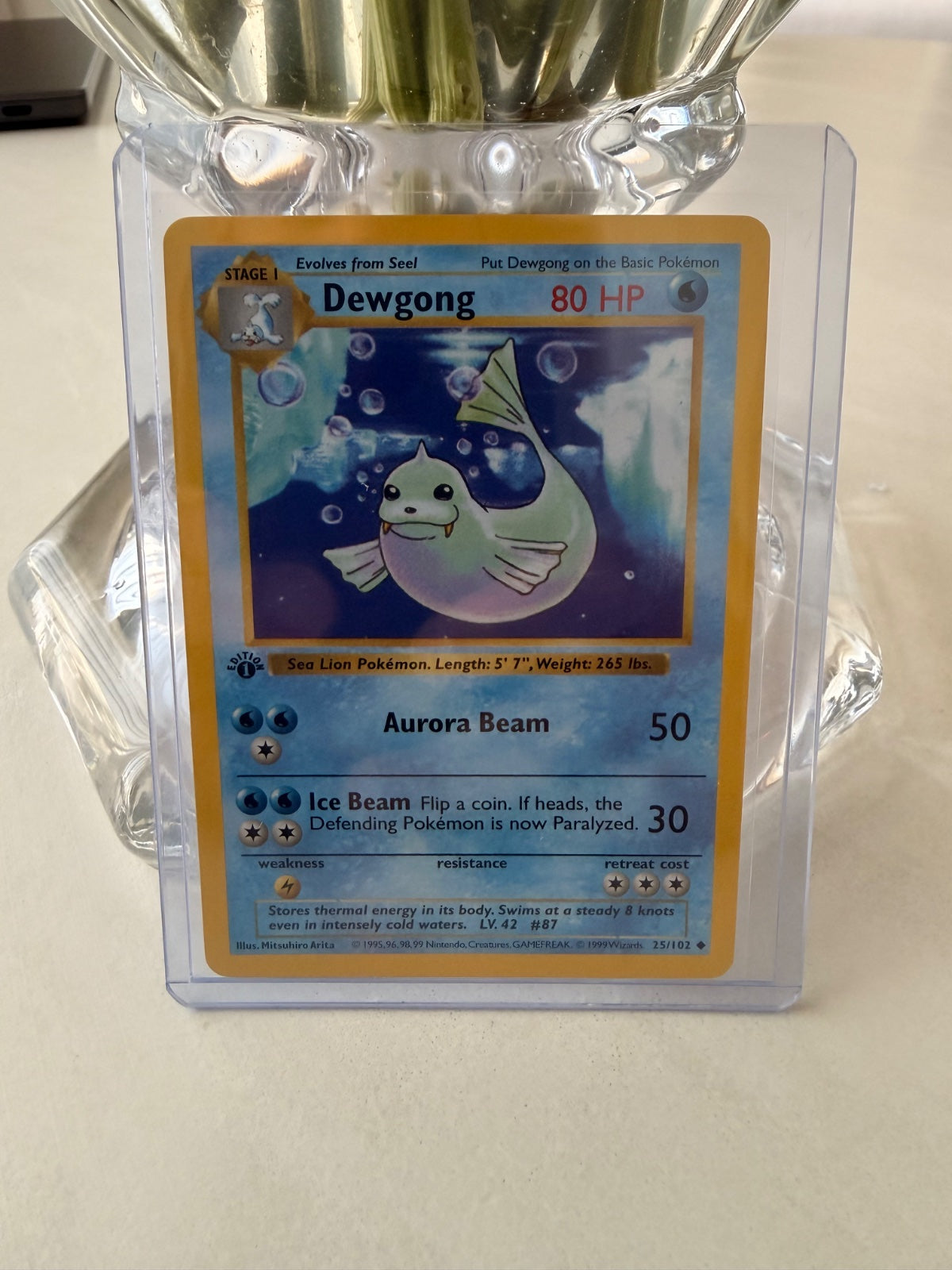 Dewgong 25 · 1st Edition (Base Set (1st Edition & Shadowless))