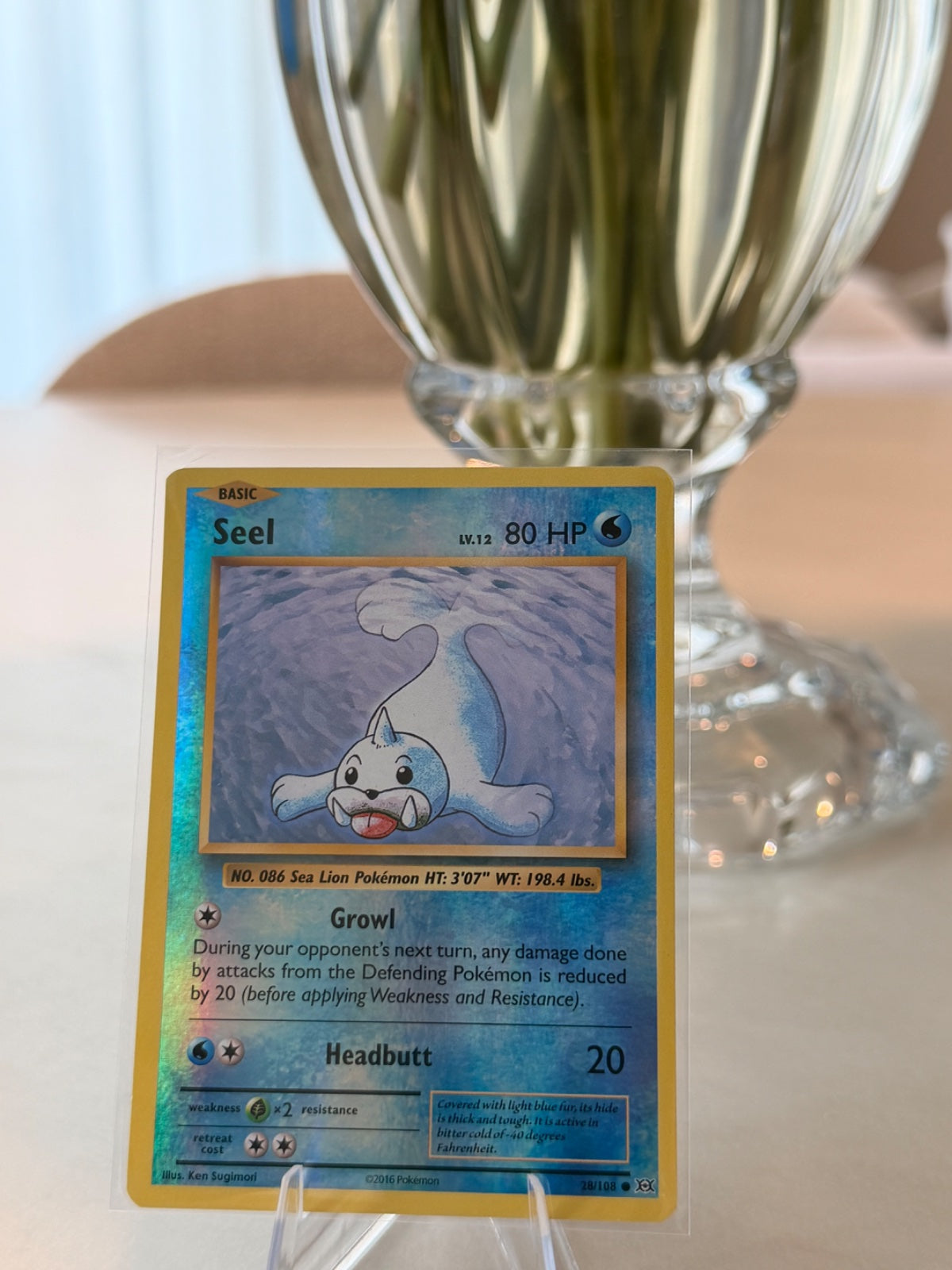 Seel 28/108 · Reverse Holofoil (Evolutions)