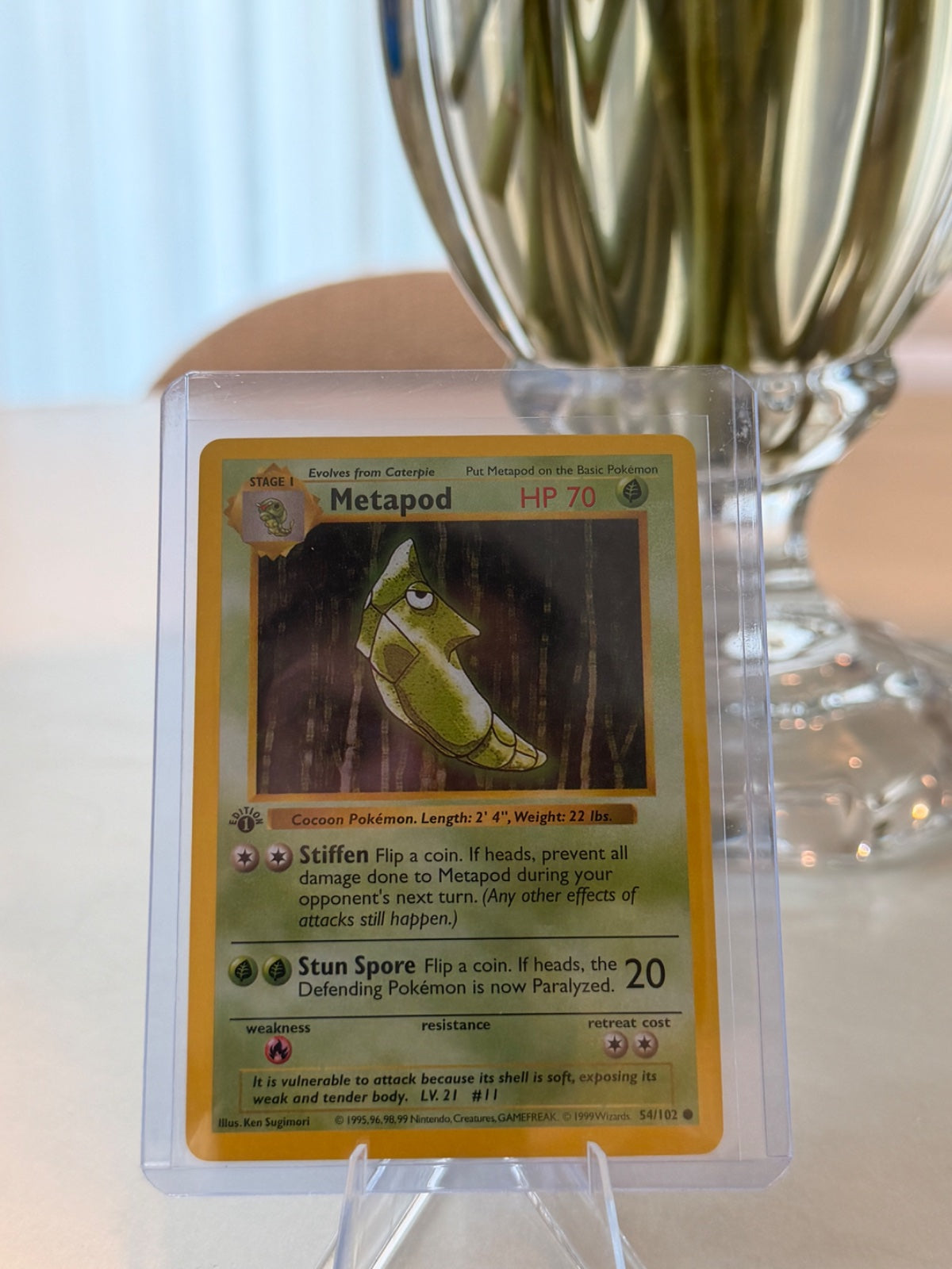 Metapod 54 · 1st Edition (Base Set (1st Edition & Shadowless))
