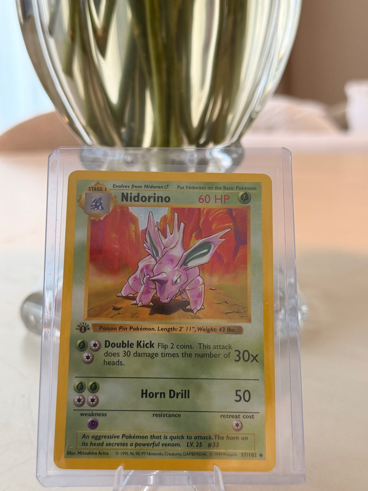 Nidorino 37 · 1st Edition (Base Set (1st Edition & Shadowless))