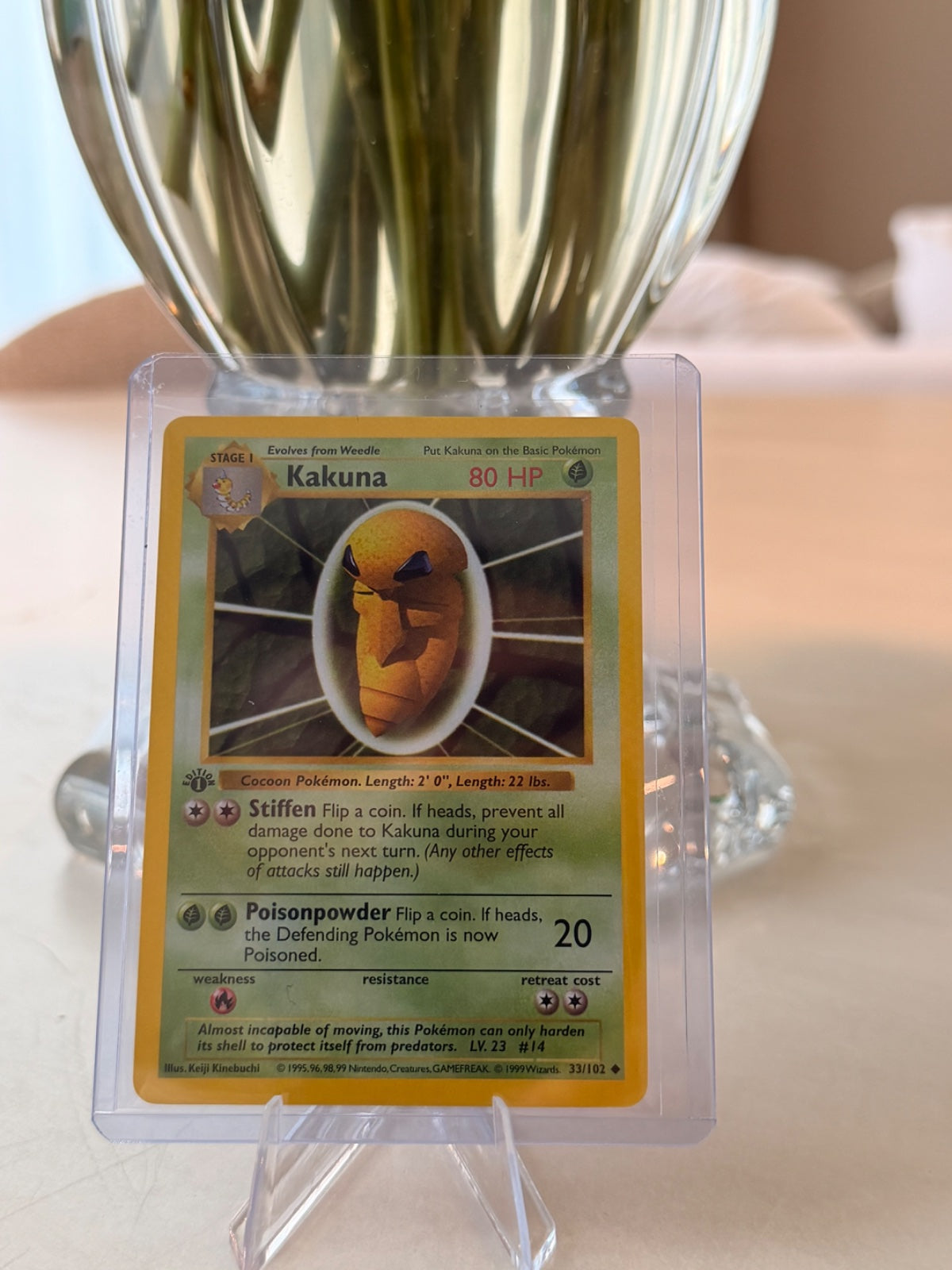 Kakuna 33 · 1st Edition (Base Set (1st Edition & Shadowless))