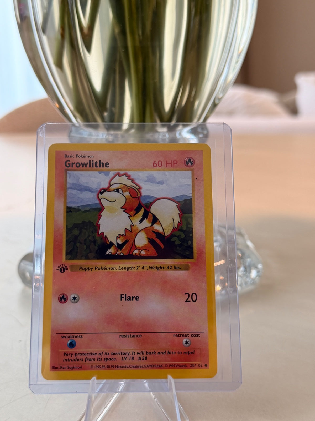 Growlithe 28 · 1st Edition (Base Set (1st Edition & Shadowless))