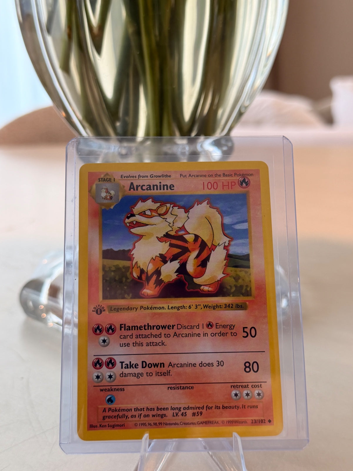 Arcanine 23 · 1st Edition (Base Set (1st Edition & Shadowless))