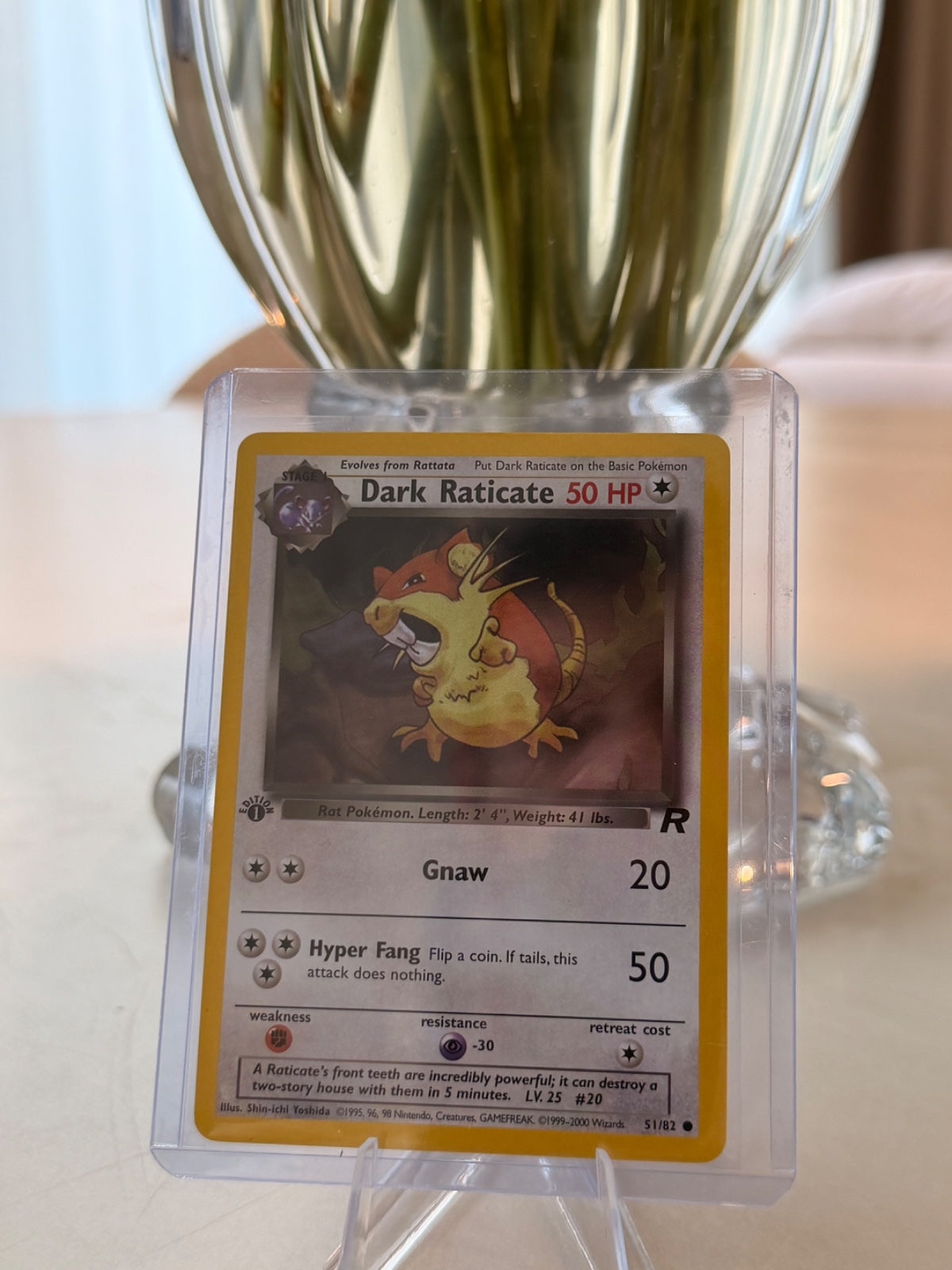 Dark Raticate 51 · 1st Edition (Team Rocket)