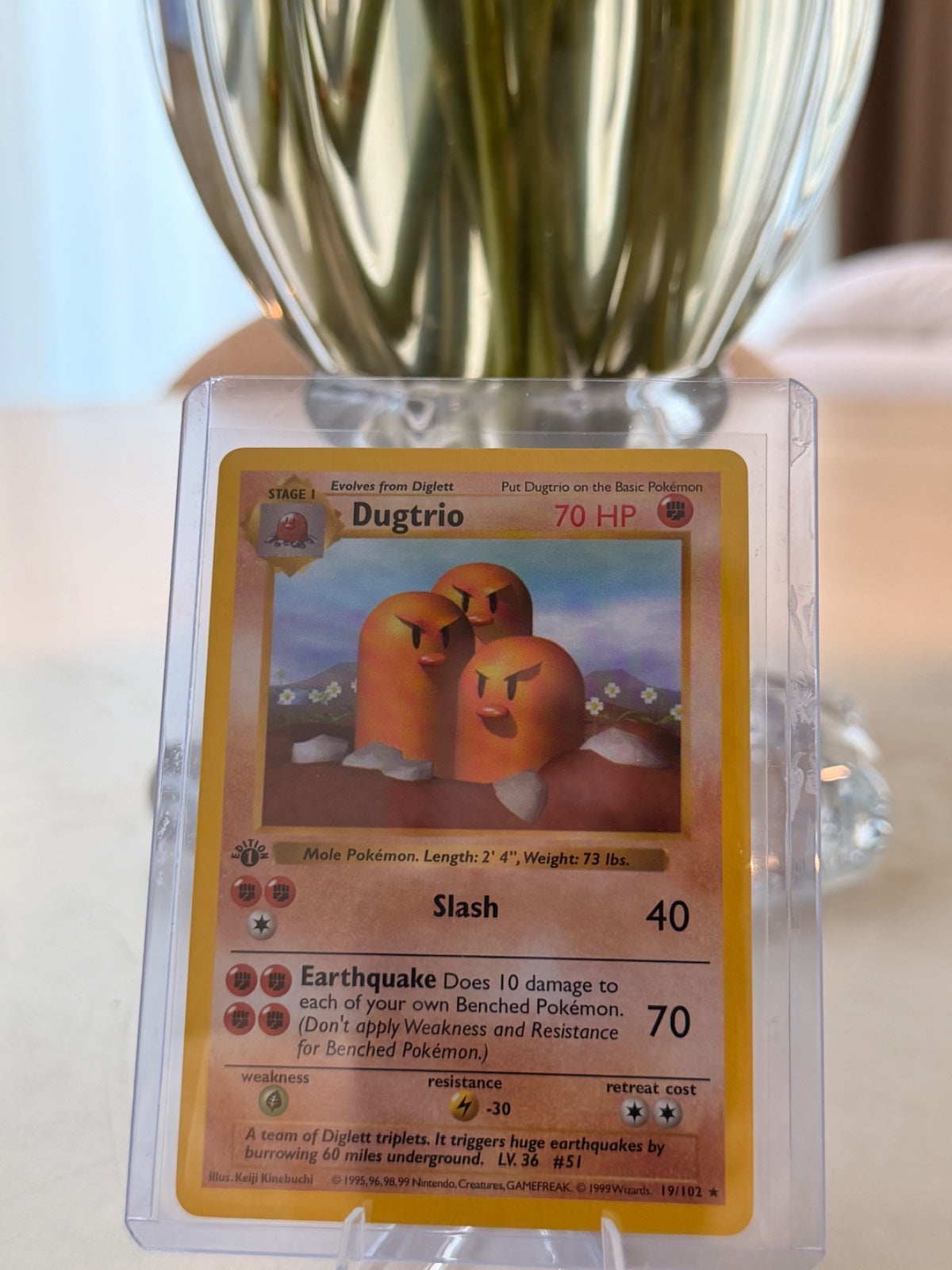 Dugtrio 19 · 1st Edition (Base Set (1st Edition & Shadowless))