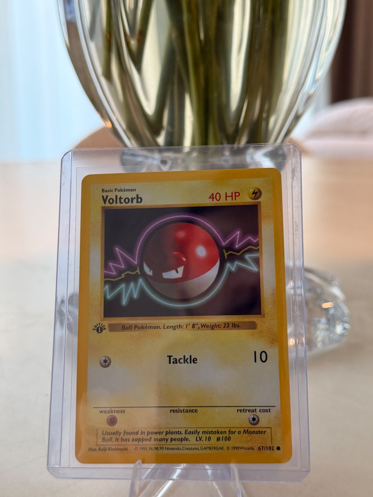 Voltorb 67 · 1st Edition (Base Set (1st Edition & Shadowless))
