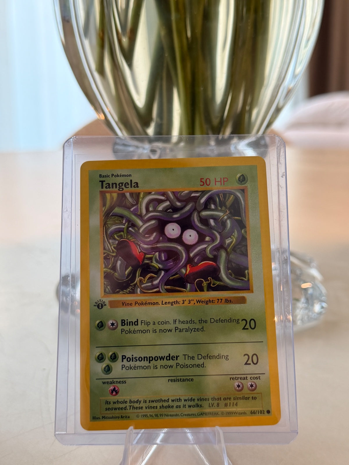 Tangela 66 · 1st Edition (Base Set (1st Edition & Shadowless))