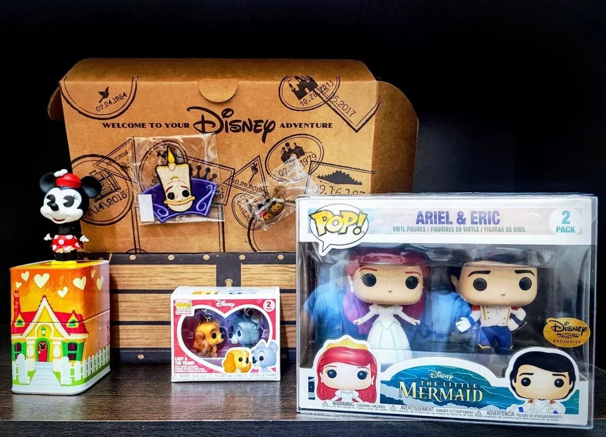 Funko Disney Treasures Exclusive: Ever After Castle Feb 2018 Box, 6 items Collectors Box