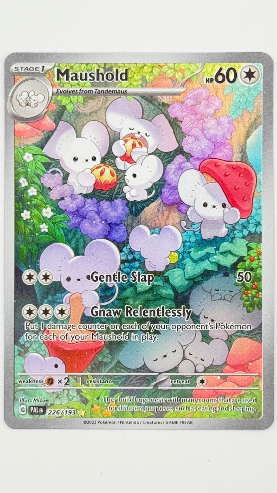 Maushold 226/193 (Paldea Evolved)