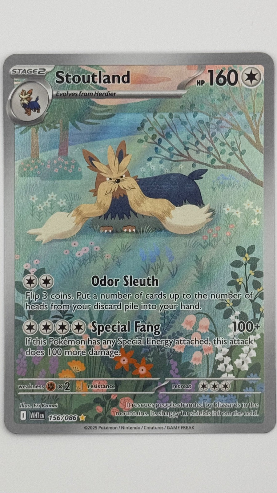 Stoutland 156/086 (White Flare)