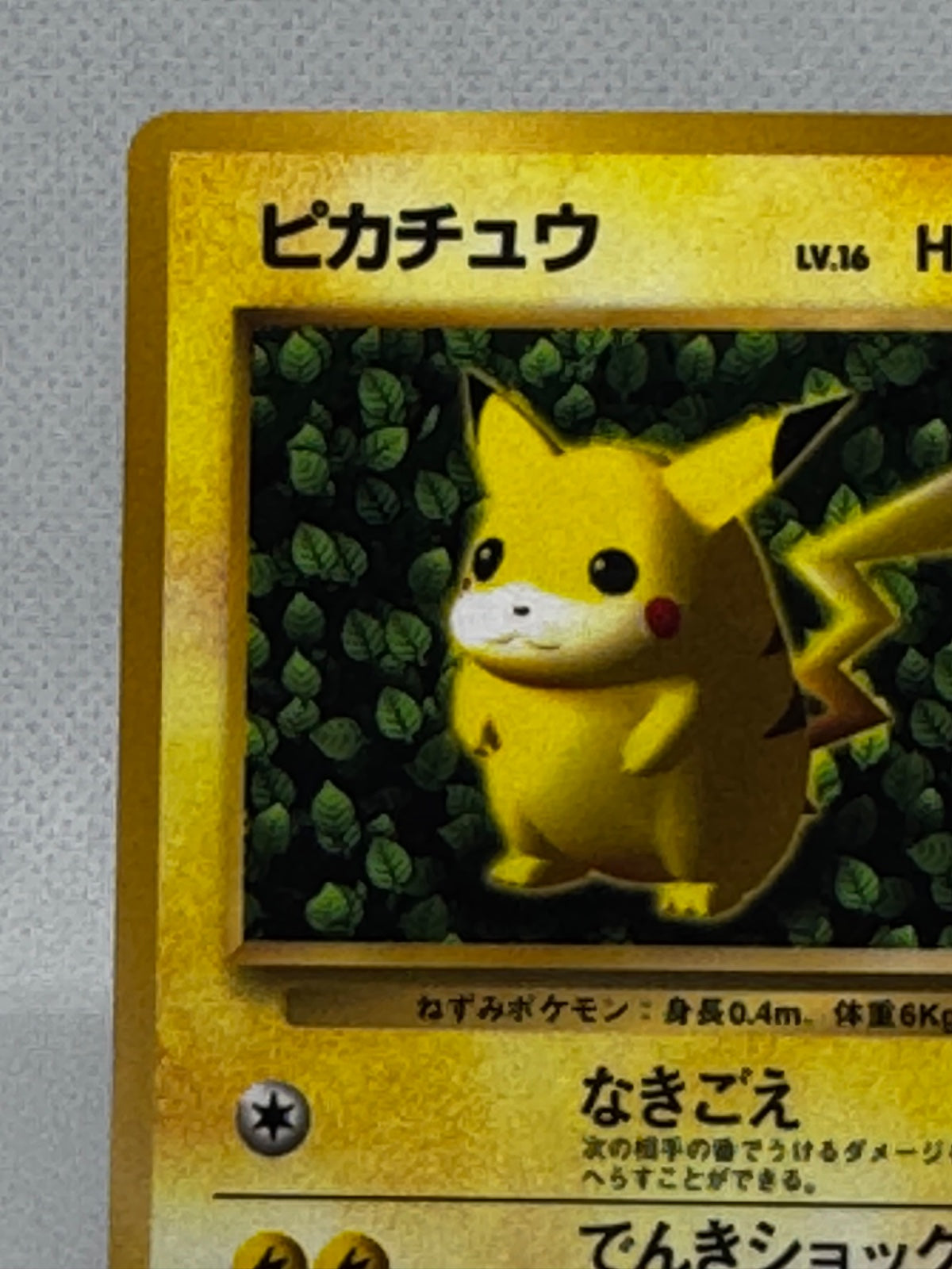 Pikachu Glossy Corocoro 1996 (JP) 025 (Unnumbered Promos (1996))