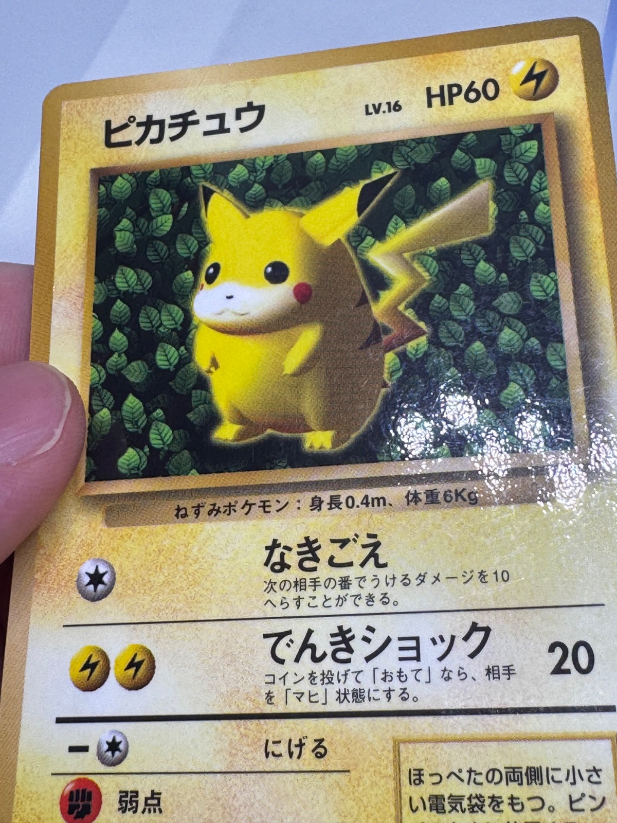 Pikachu Glossy Corocoro 1996 (JP) 025 (Unnumbered Promos (1996))