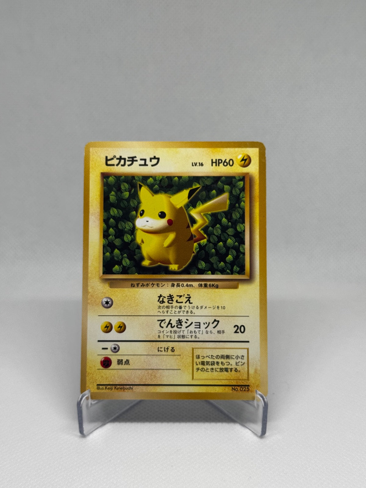 Pikachu (JP) 281/XY-P (XY Promos (JP))