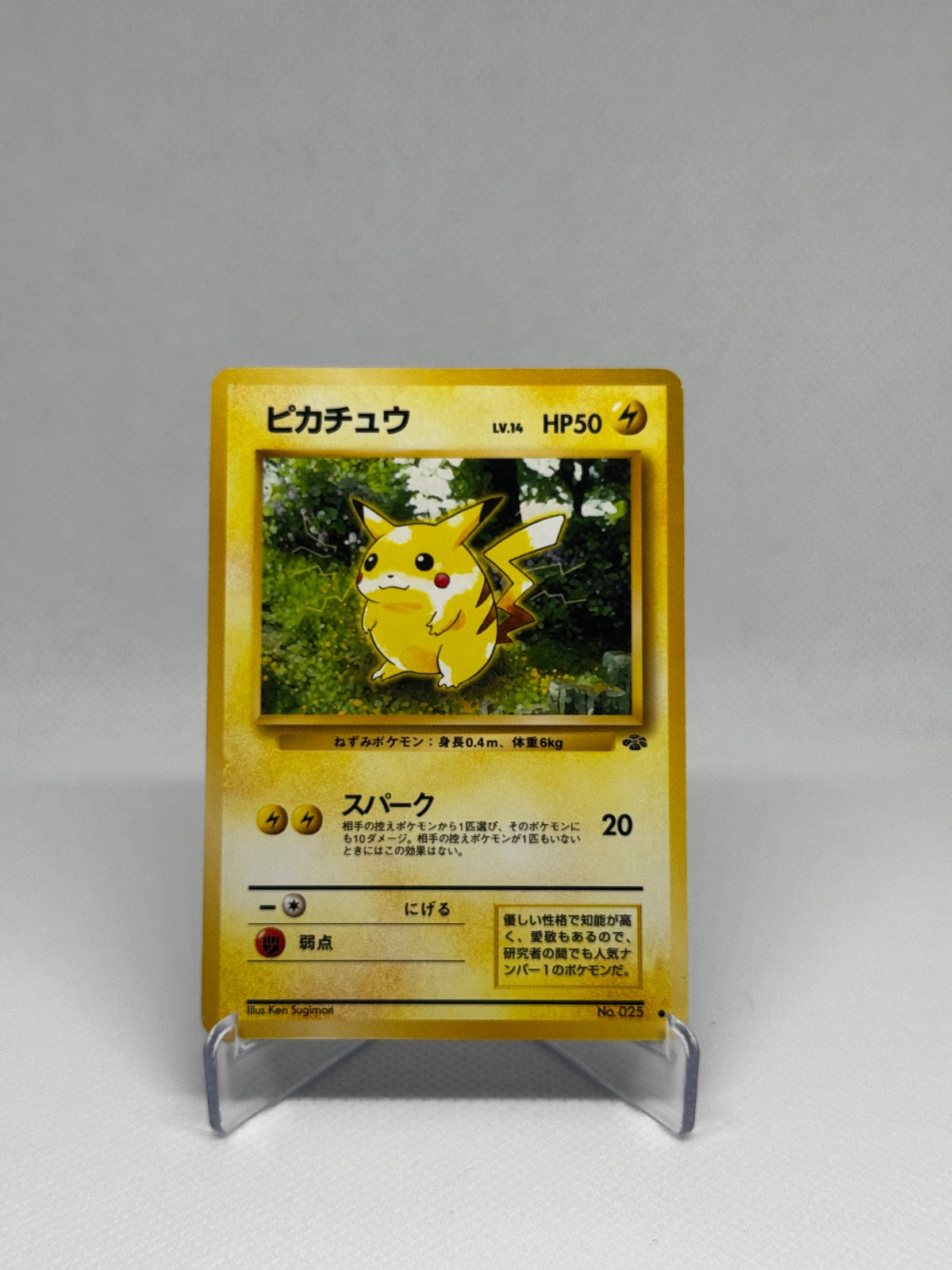 Pikachu (JP) 25 (Jungle (Japanese))